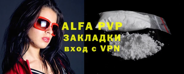 дурь Гусев