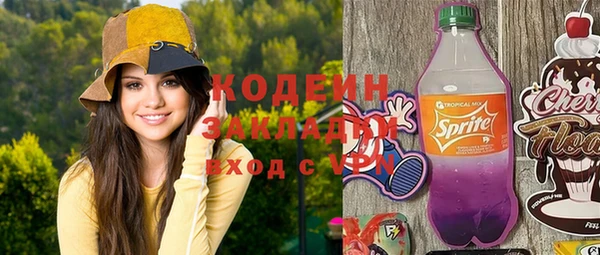 дурь Гусев
