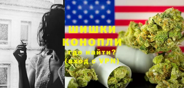 дурь Гусев