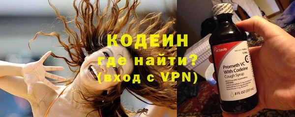 дурь Гусев