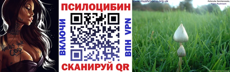 Галлюциногенные грибы мухоморы  что такое наркотик  Можга 